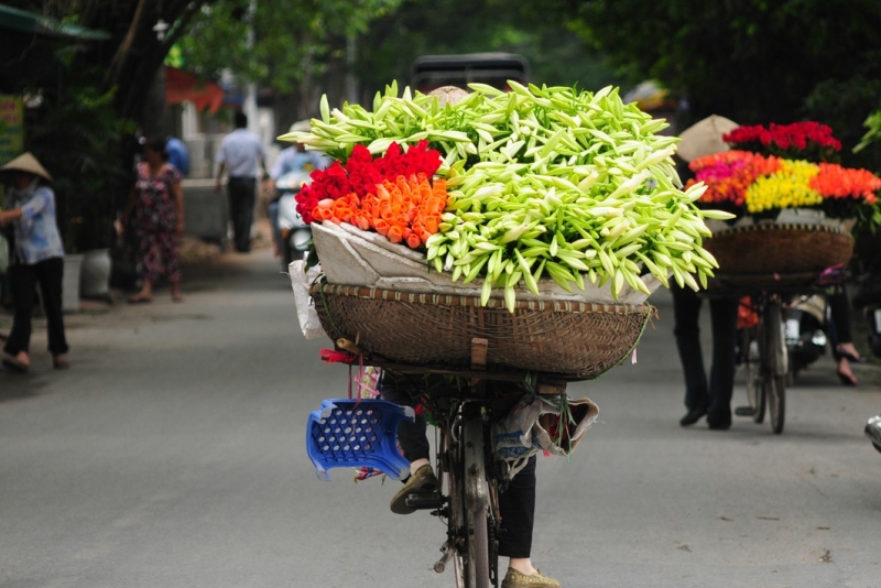 VIETNAM CLÁSICO