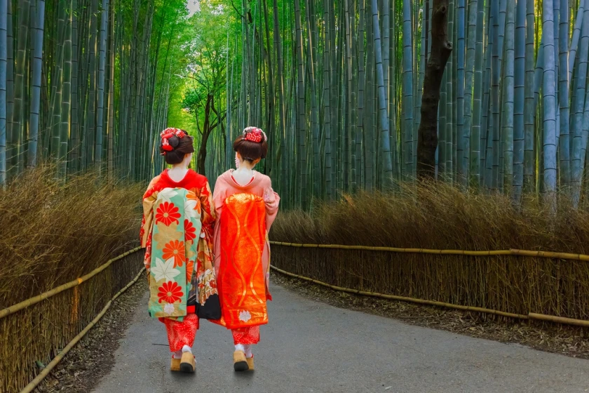 Japón a tu aire II