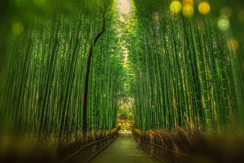 Japón espiritual