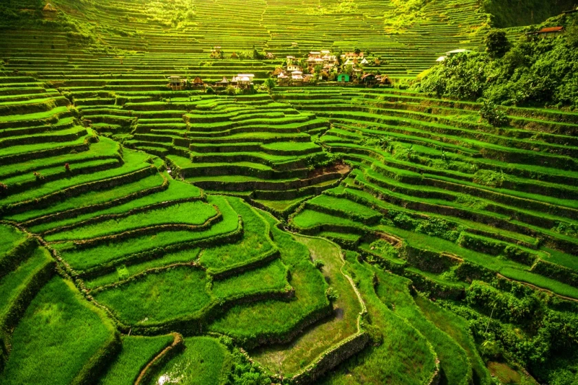 Filipinas, Terrazas de Arroz de Banaue