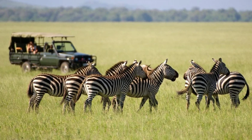 Solo Tanzania