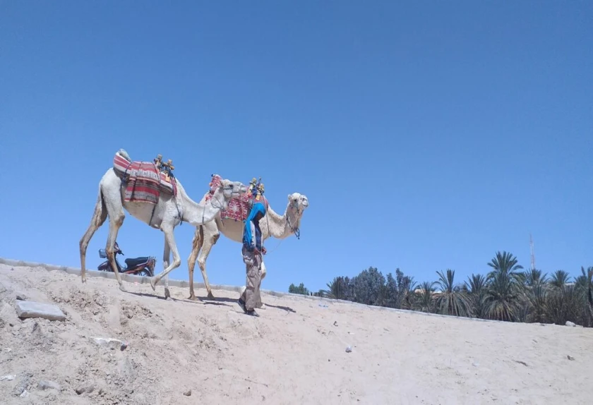 Gran Ruta por el desierto