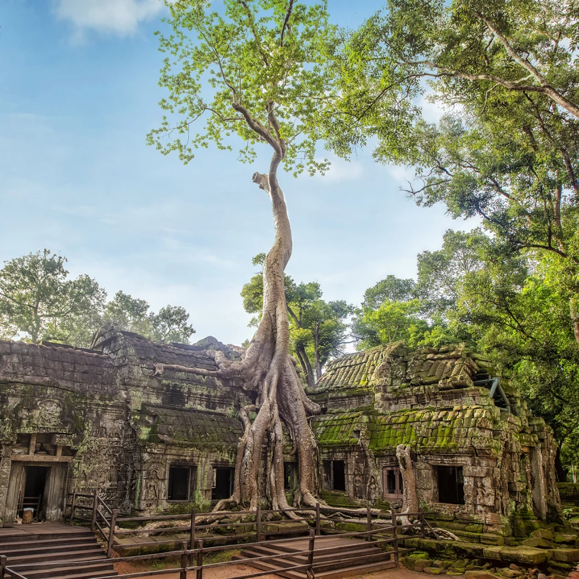 Los 3 lugares que no te puedes perder de Camboya  