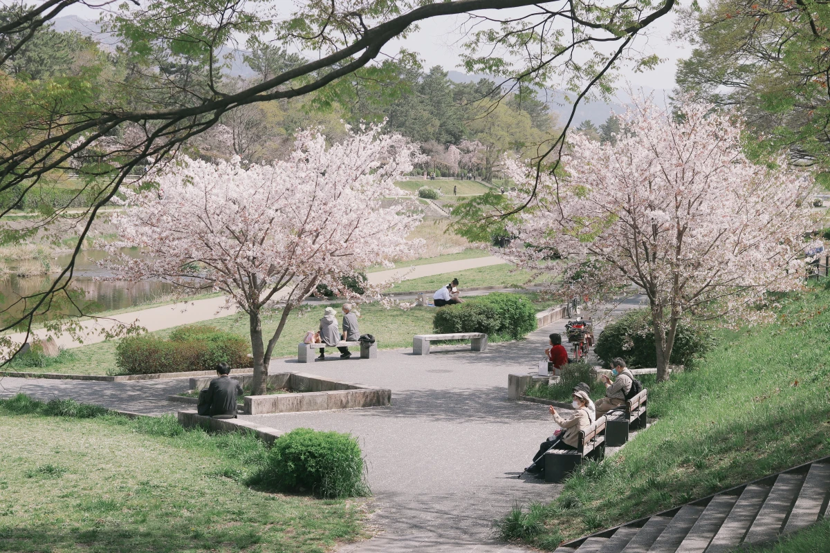 Los eventos más bonitos de primavera en Japón 