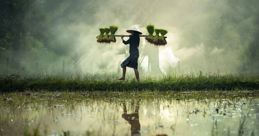 Viajes en Vietnam